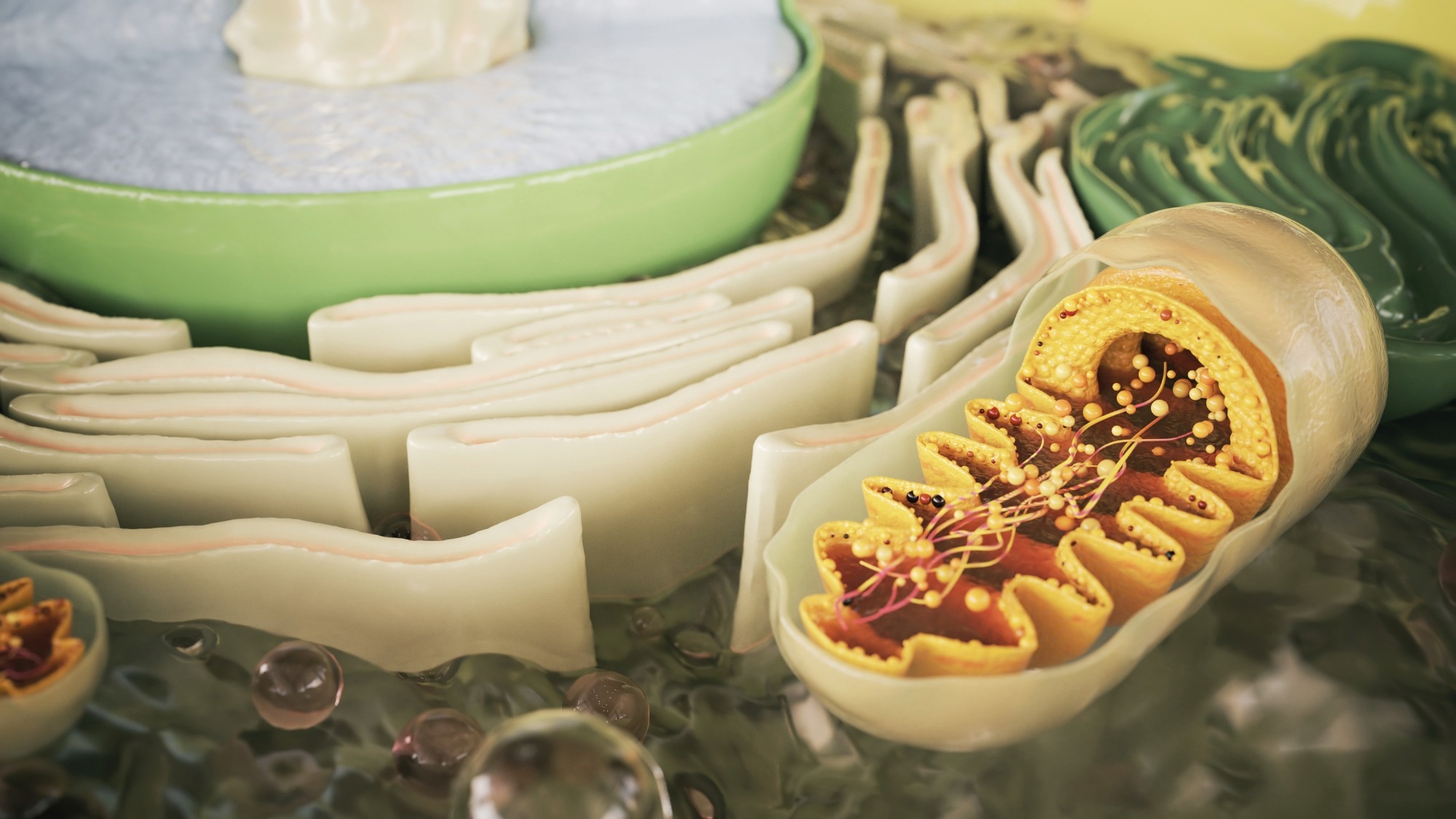 Study shows how mitochondrial RNA changes enhance invasive growth of cancer cells
