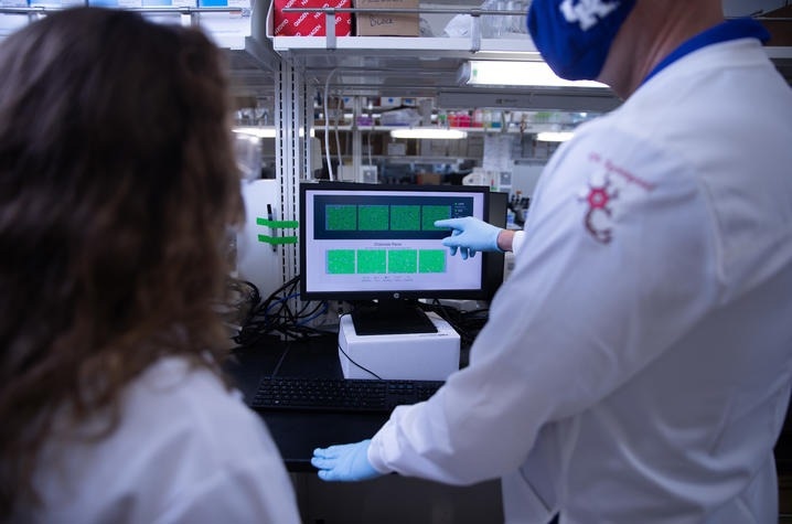 Online version algorithm helps to detect ramp sequences of RNA, study finds