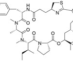 Researchers target human protein to combat SARS-CoV-2 and other viruses