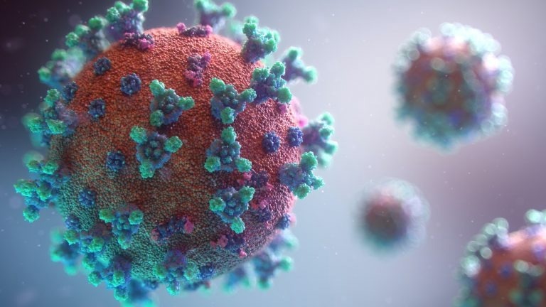 Covid-19 vaccination stimulates antibodies aiming parts of virus spike protein among corona variants, researchers discover