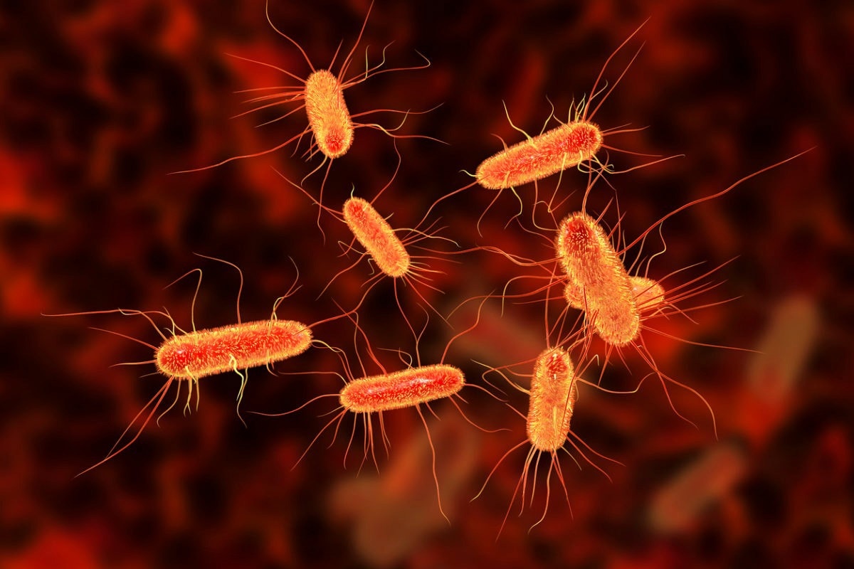 New bacterial tool improves drug production in bacterial cells