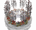 Researchers discover the atomic structure of the nuclear pore complex
