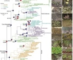 Researchers utilize Alismatales to explore plant adaptation to aquatic environments