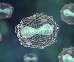Comparative mass spectrometry strategy determines the viral and cellular candidate proteins of poxvirus