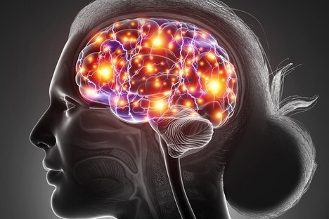 Researchers discover key cells that control interaction in parts of the brain