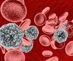 Study finds broadly neutralizing antibodies might help to treat or cure HIV infection