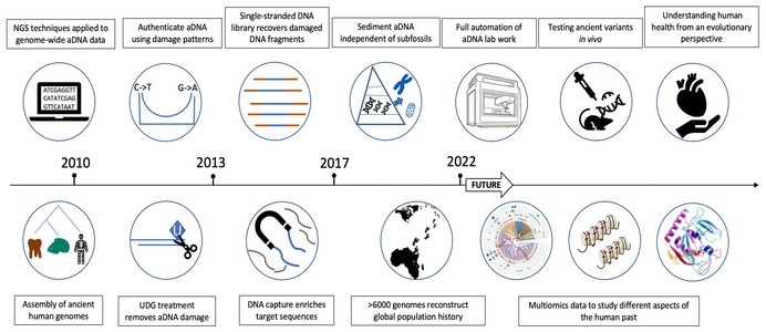 Researchers review the major milestones of ancient DNA techniques