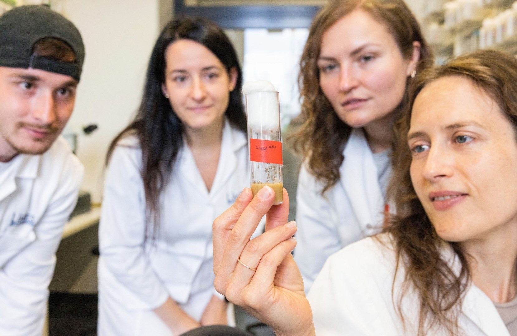 Research shows how protein deficiency creates motor disorders in flies