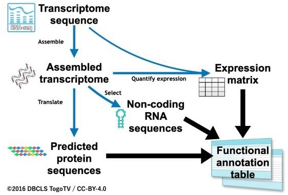 Scientists expand entomological research using genome editing
