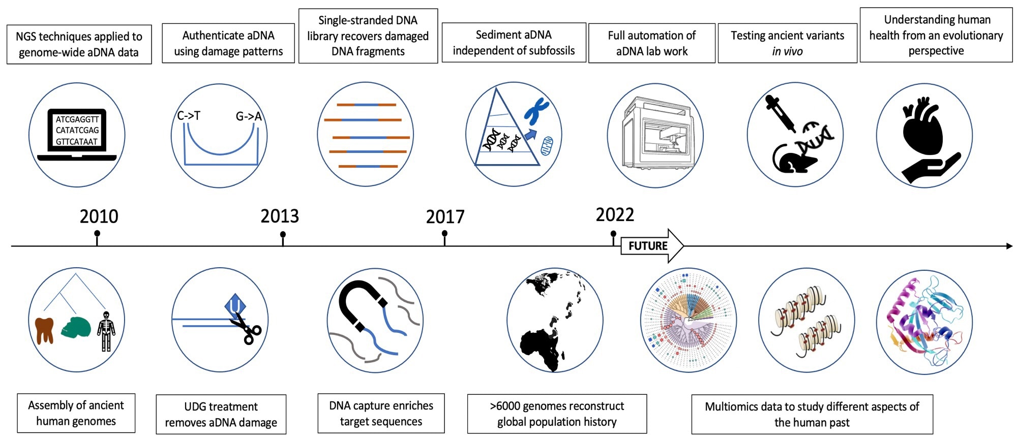 Study highlights the history of ancient DNA technology development