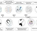 Study highlights the history of ancient DNA technology development