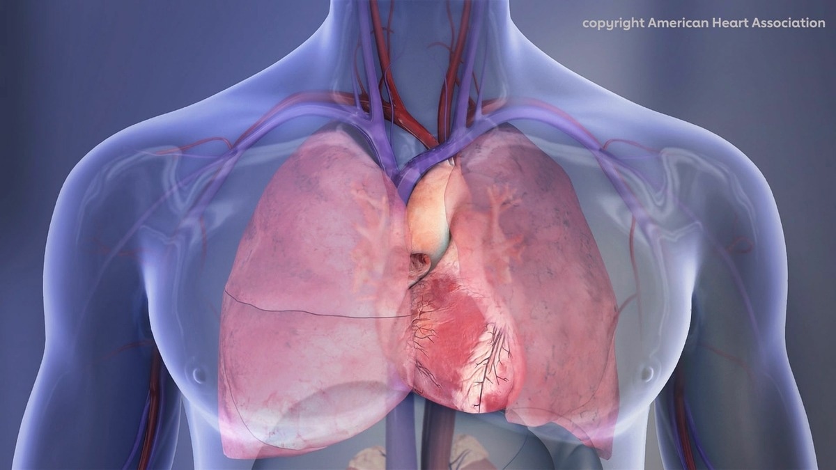 Covid-19 spike protein caused severe heart damage, new research shows