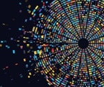Scientists determine the contribution of DNA recombinations to genomic diversity in health and disease