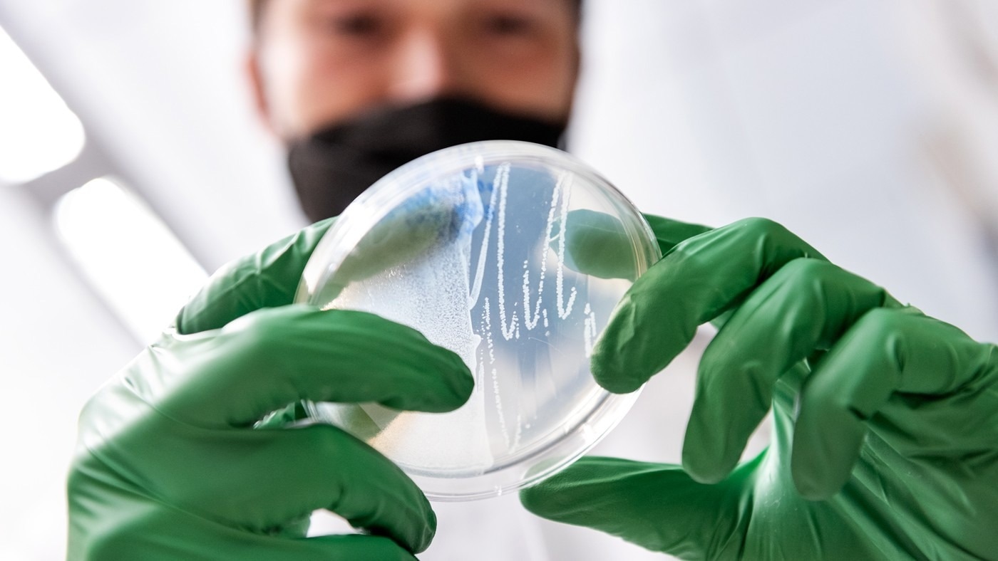 A Retro-Cascorder device records a cell’s genetic activity in DNA for days at a time
