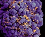 HIV latent cells produce a possible cure investigation