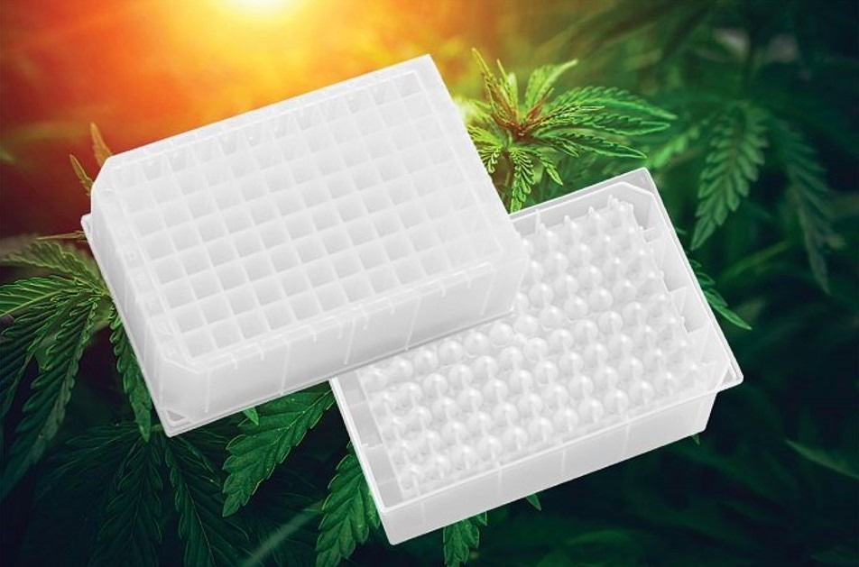 Optimised microplate for cannabis sample processing