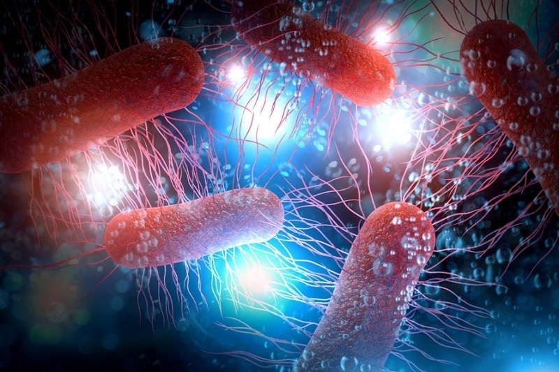 Researchers use synthetic polymers as alternatives to nucleate the formation of biofilms