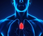 Research findings likely to help identify key differences between effective and flawed immune systems