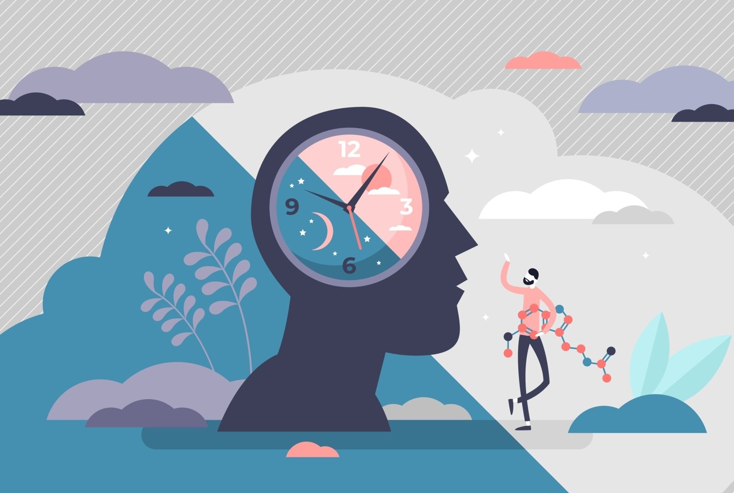 Circadian clocks involve primarily in fat cell growth