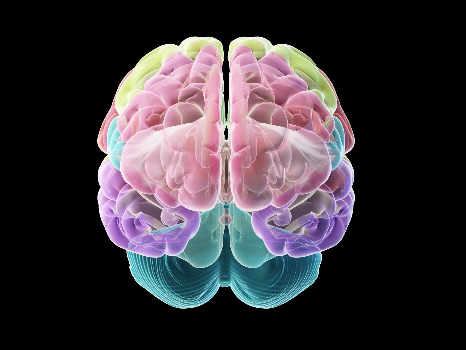 Cedars-Sinai builds bio-realistic and intricate computer models of brain cells