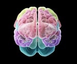 Cedars-Sinai builds bio-realistic and intricate computer models of brain cells