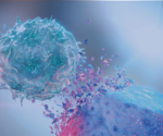 Lactate likely to be a bioenergetic and biosynthetic fuel for T cells