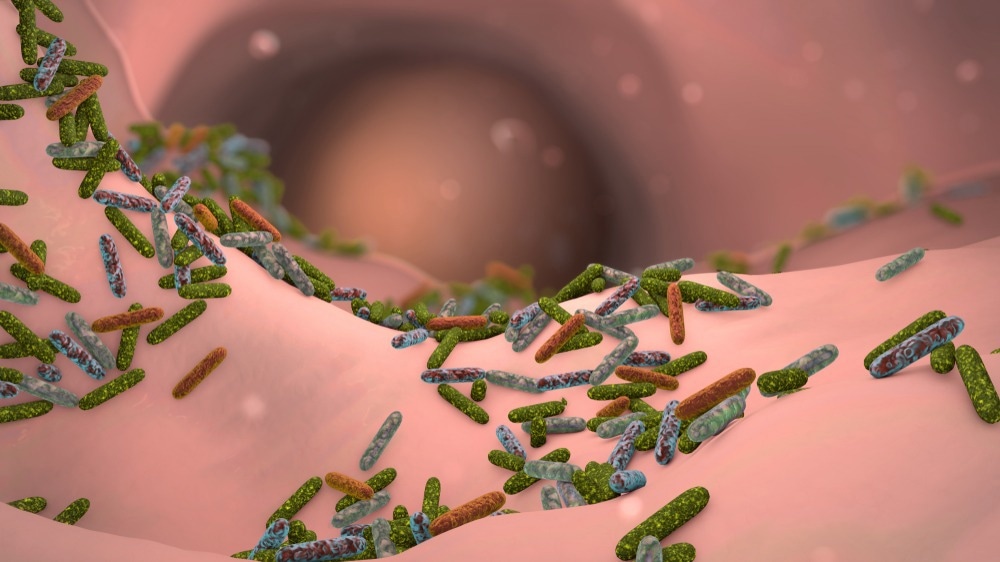 Gut Microbes