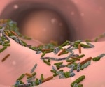 New method identifies human gut microbes that contribute to inflammatory diseases