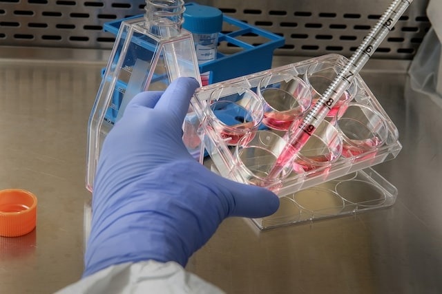 Hydroquinine inhibits and kills several strains of clinically important bacteria