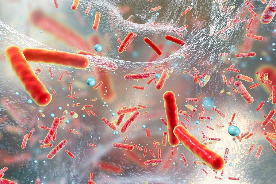 Using human saliva to treat infections that are resistant to antibiotics