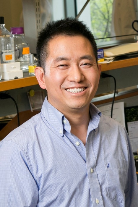 Generalizable strategy to program gene stability of microbial communities