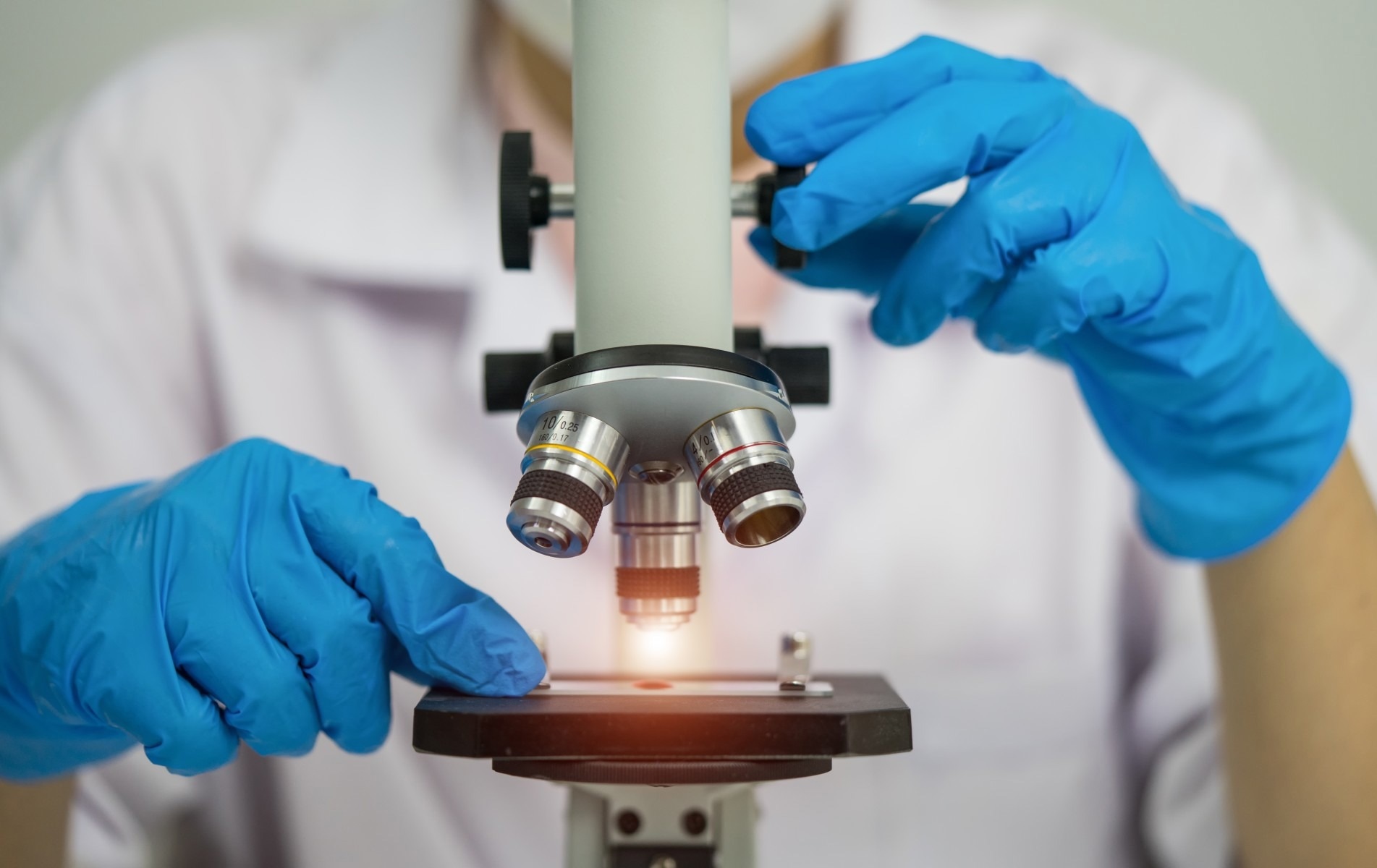 Iron-sulfur cofactors are moved with the help of glutathione, experts reveal