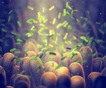 Microbes in the human gut impact neurological and emotional health