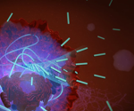 Nanomaterials offer a rich avenue to achieve broad-spectrum bioactivities