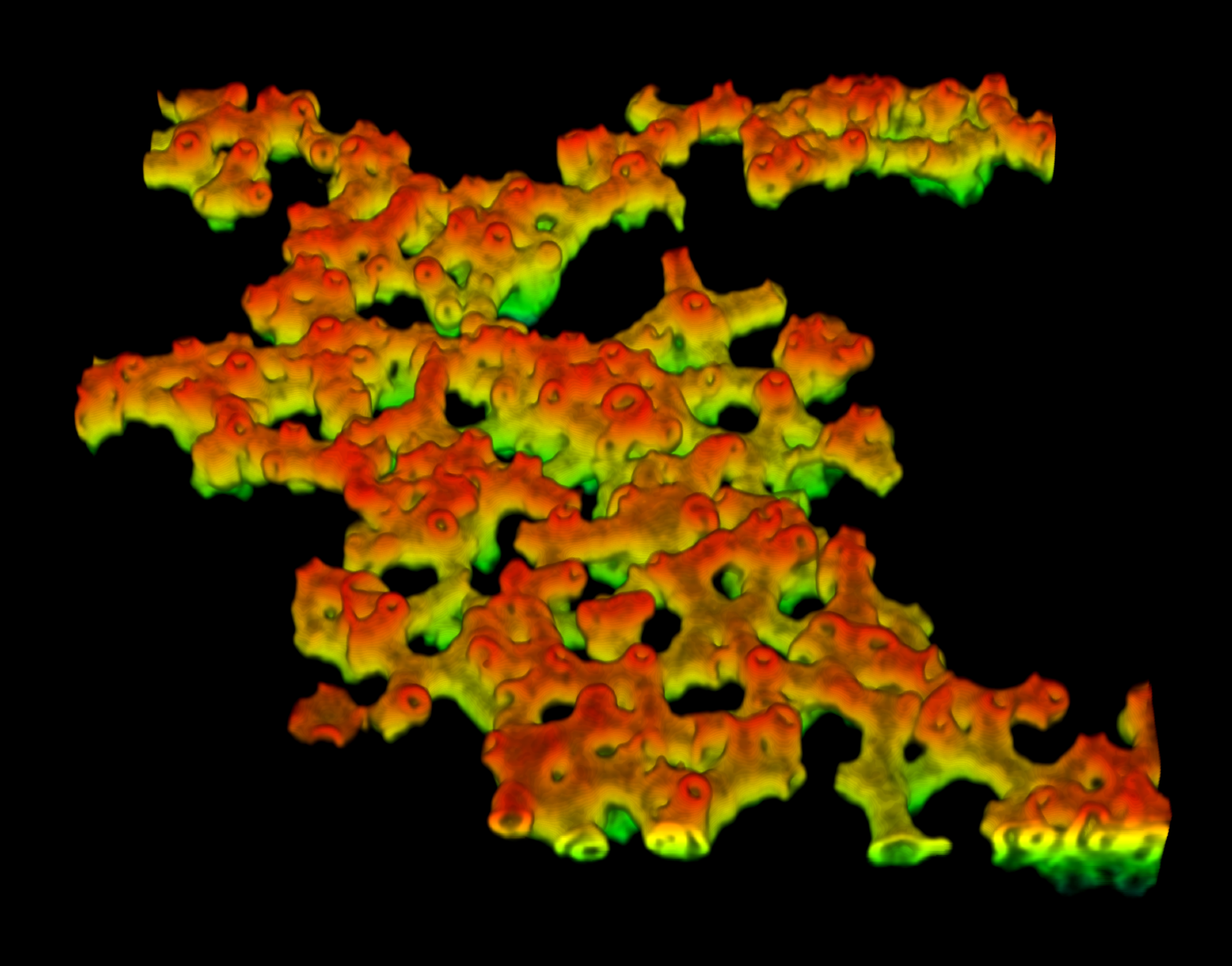 Novel mechanism for curvature generation of fluidic membranes