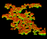 Novel mechanism for curvature generation of fluidic membranes