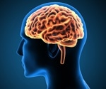 Human-specific gene involves in neocortical expansion during evolution