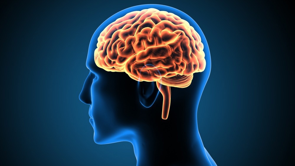 Image Credit: Life science/Shutterstock.com