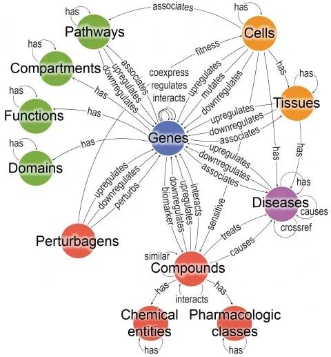 Novel computational tool integrates available biological data