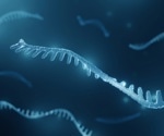 Interactions between plasma miRNAs and cognitive performance in males
