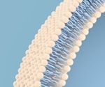 Studying cell membranes’ role in allowing viruses’ spike proteins to infect cells