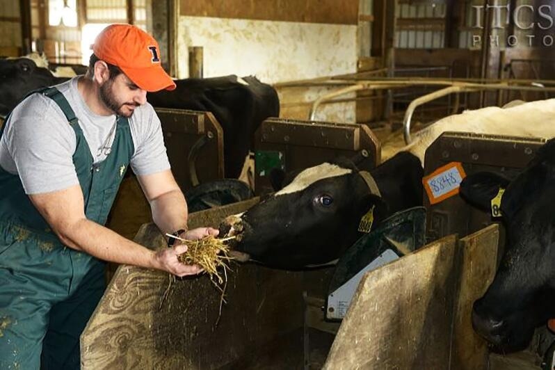 Rumen-protected lysine improve uterine health