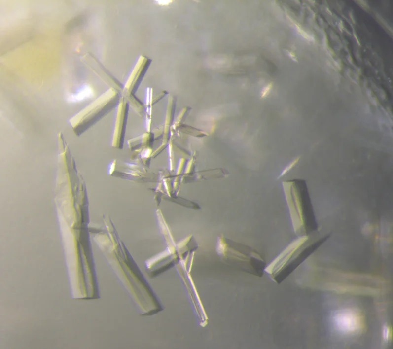 Soil viruses contribute auxiliary functions to their hosts
