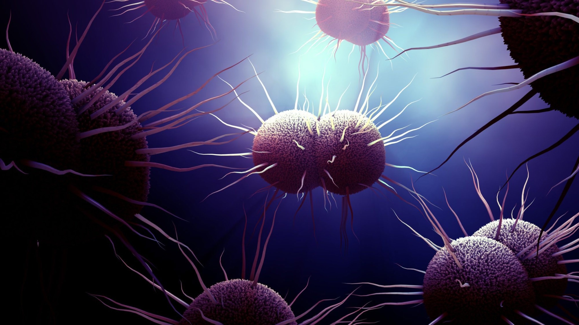 Novel means to prevent and treat gonorrhea