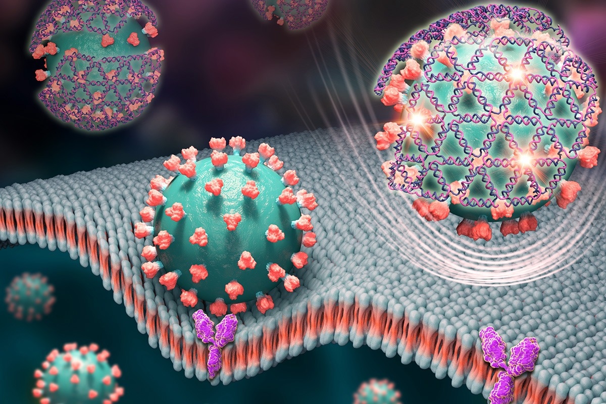 Tiny DNA strand net in a low-cost test platform traps COVID-19 virus