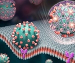 Tiny DNA strand net in a low-cost test platform traps COVID-19 virus