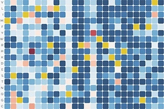 WEHI receives $2.5 million fund to develop personalized cancer treatments