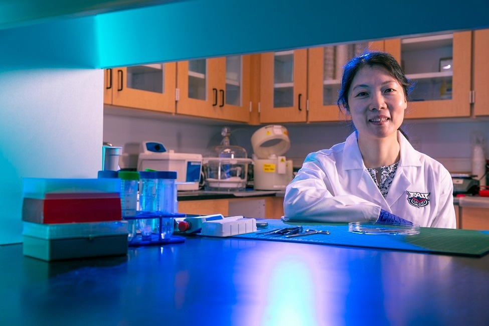 The exchange of nutrients between the mother and fetus mirrored by ‘placenta-on-a-chip’