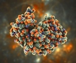 Radical theory examines how charged macromolecules self-assemble