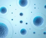 New insights into the regulatory mechanisms of cell fate decisions
